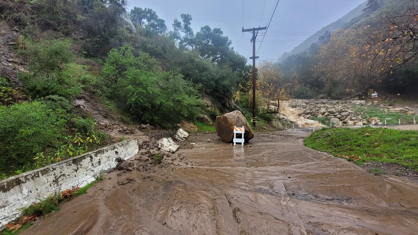 California, 2024